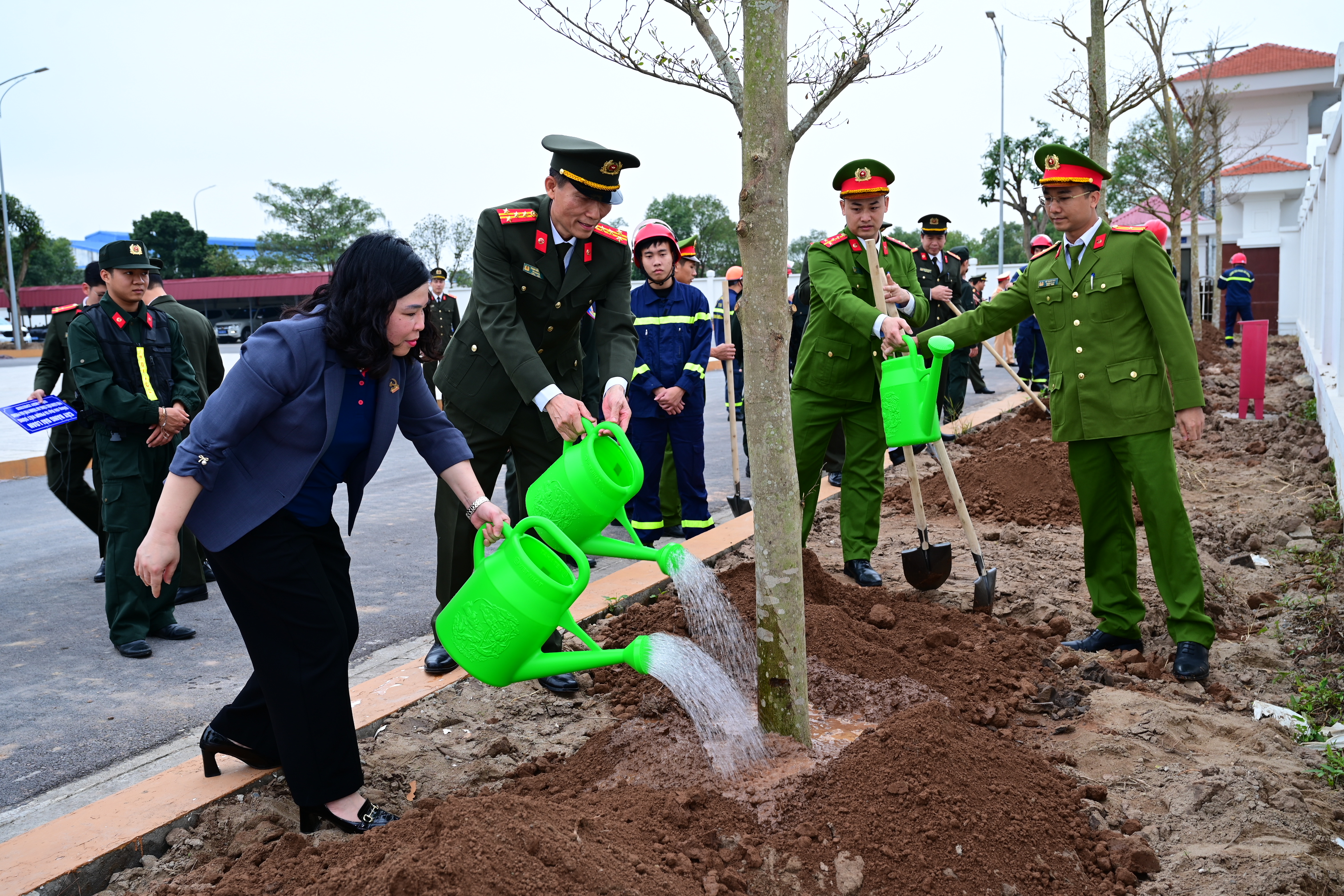 Phát động Tết trồng cây “Đời đời nhớ ơn Bác Hồ” năm 2026 